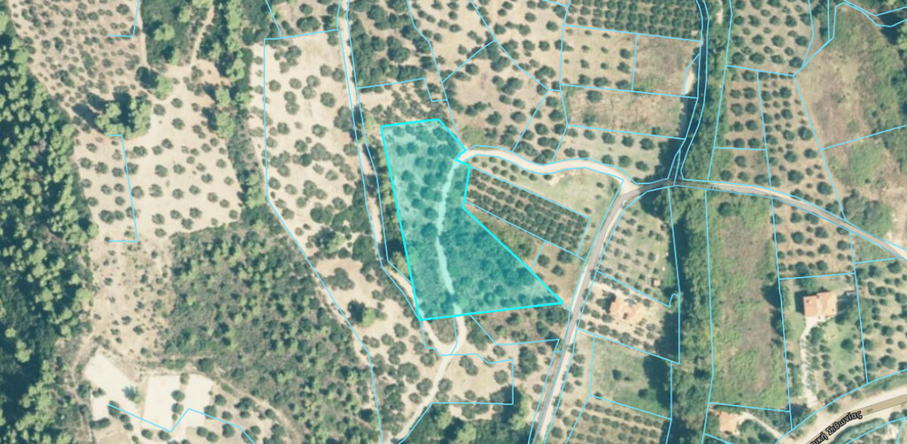 Land In Sithonia, Greece
