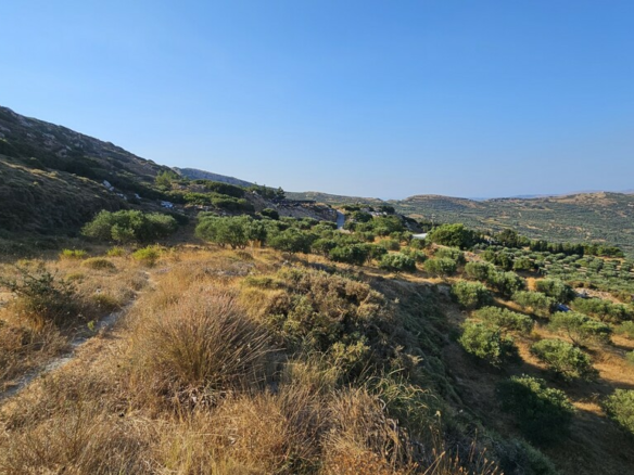Land In Arkalochori, Greece