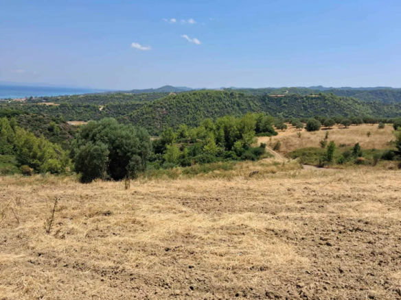 Land In Kassandra, Greece