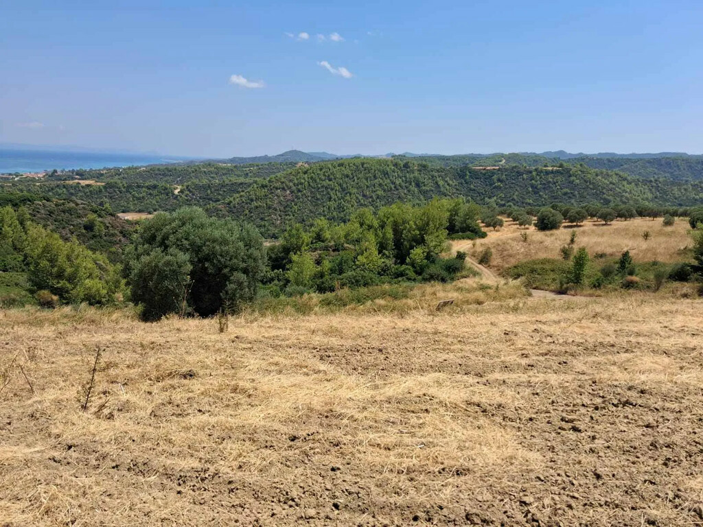 Land In Kassandra, Greece