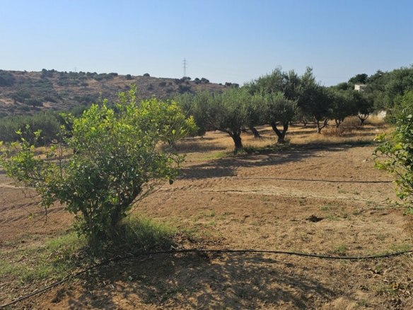 Land In Gouves, Greece