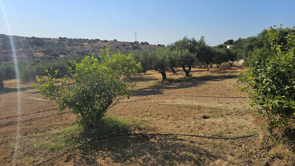 Land In Gouves, Greece