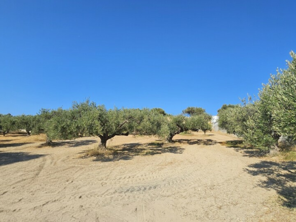 Land In Gouves, Greece