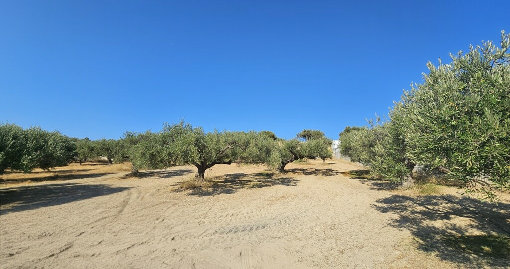 Land In Gouves, Greece