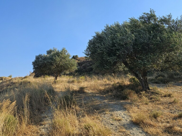 Land In Arkalochori, Greece