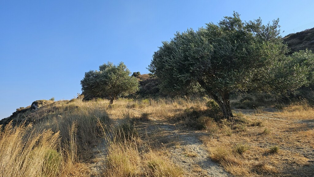 Land In Arkalochori, Greece