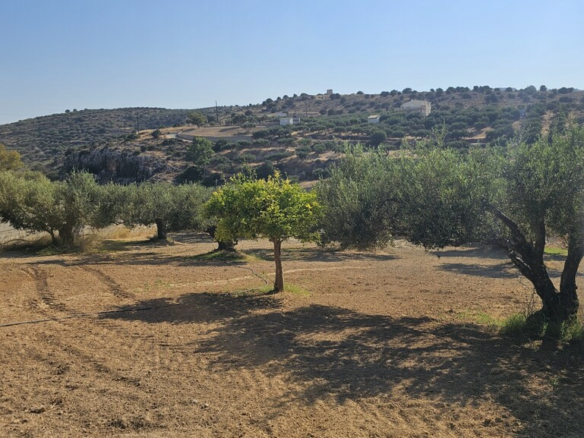 Land In Gouves, Greece