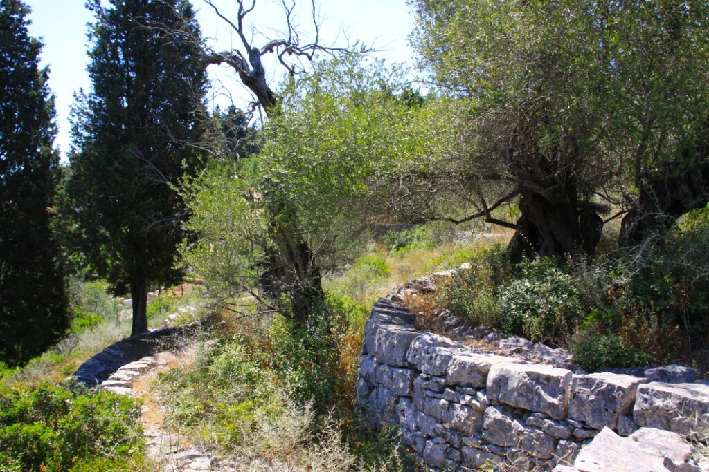 Land In Paxoi, Greece (6.410 M²)