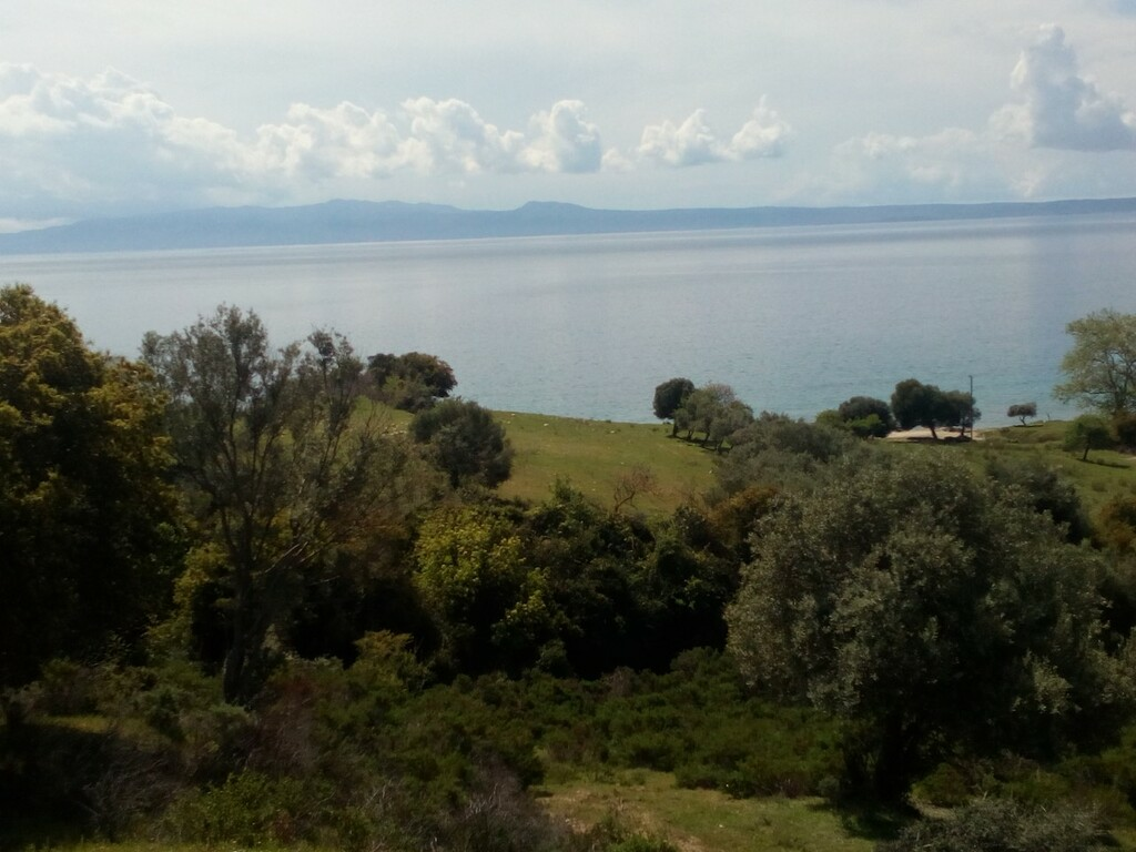 Land In Aristotle, Greece