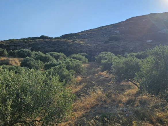 Land In Arkalochori, Greece