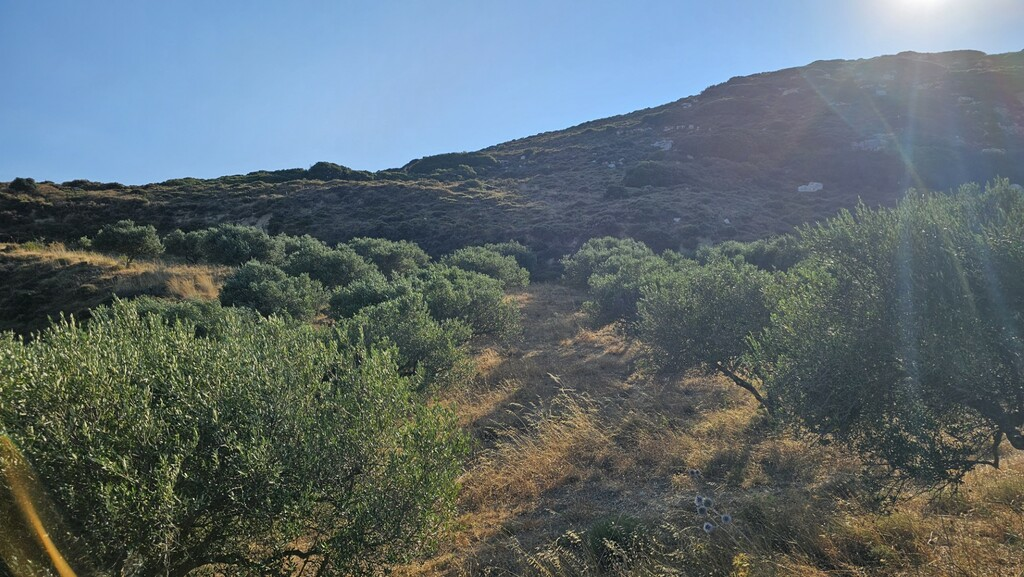 Land In Arkalochori, Greece