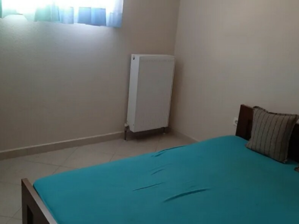 Flat 55 M2 In Michaniona, Greece