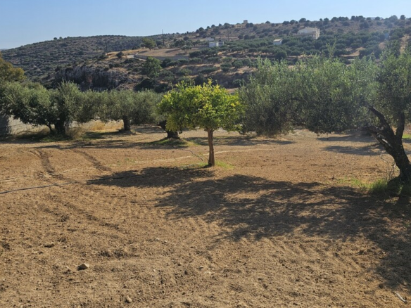 Land In Gouves, Greece