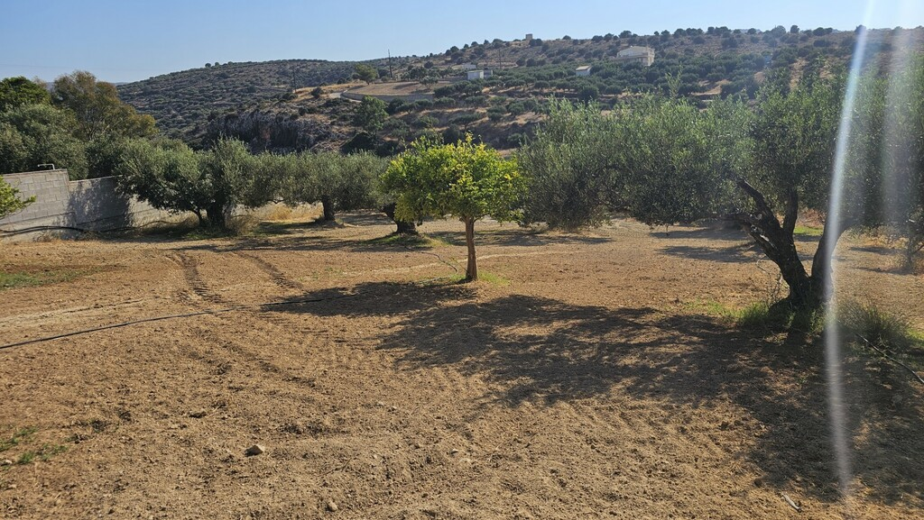 Land In Gouves, Greece