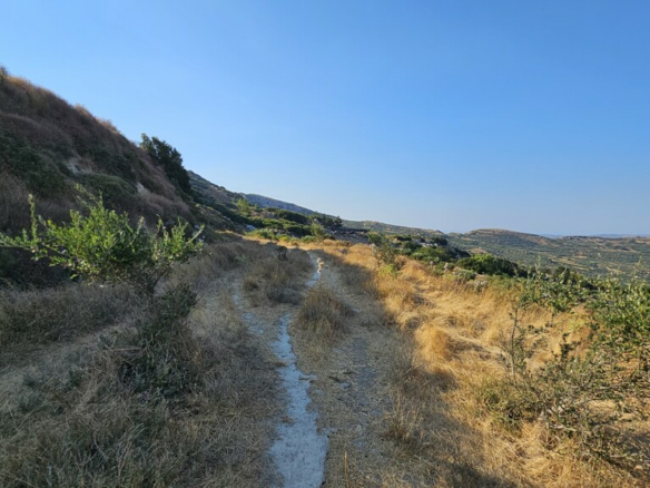 Land In Arkalochori, Greece