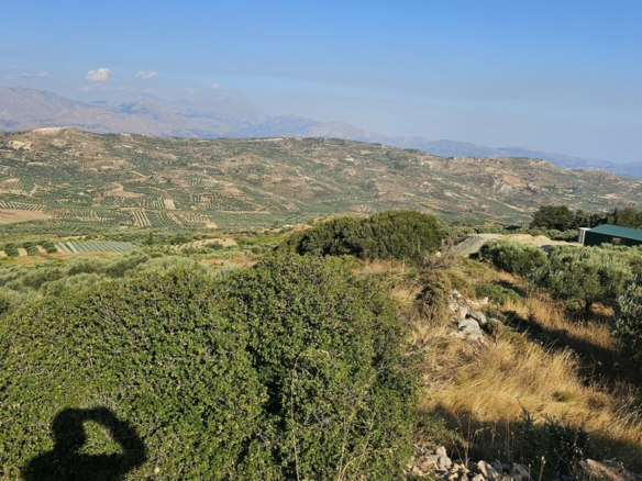 Land In Arkalochori, Greece
