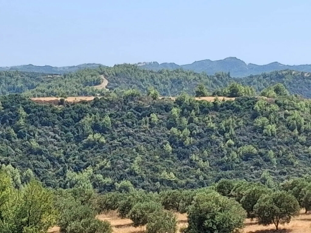 Land In Kassandra, Greece