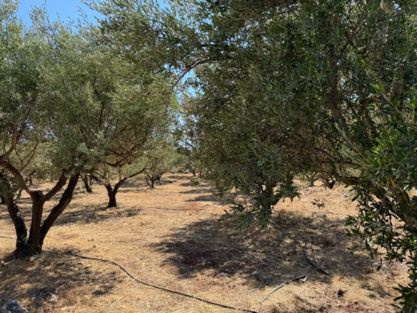 Land In Souda, Greece