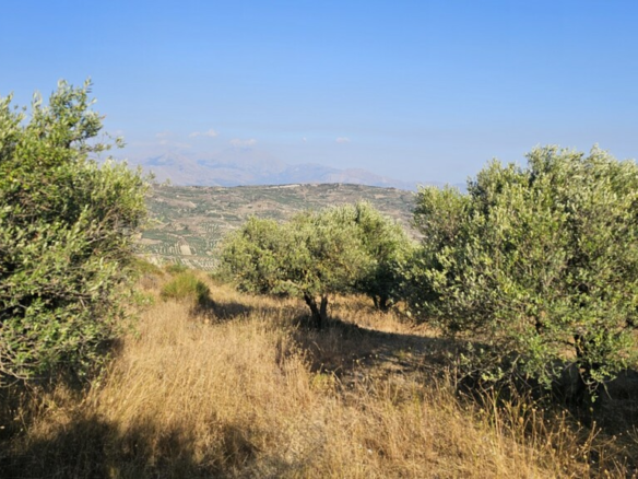 Land In Arkalochori, Greece