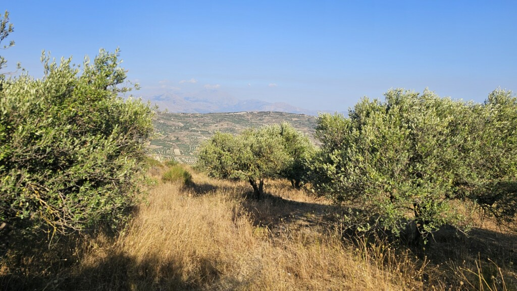 Land In Arkalochori, Greece