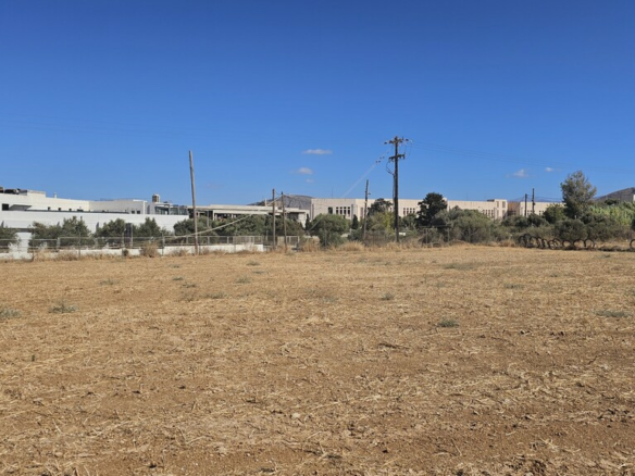 Land In Gouves, Greece