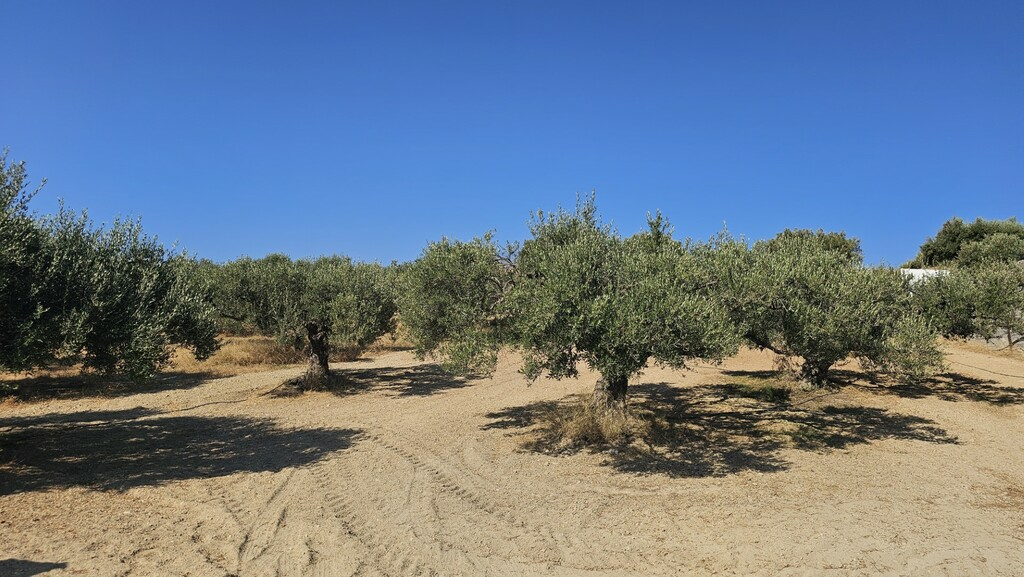 Land In Gouves, Greece
