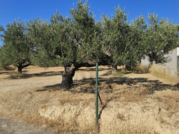 Land In Gouves, Greece