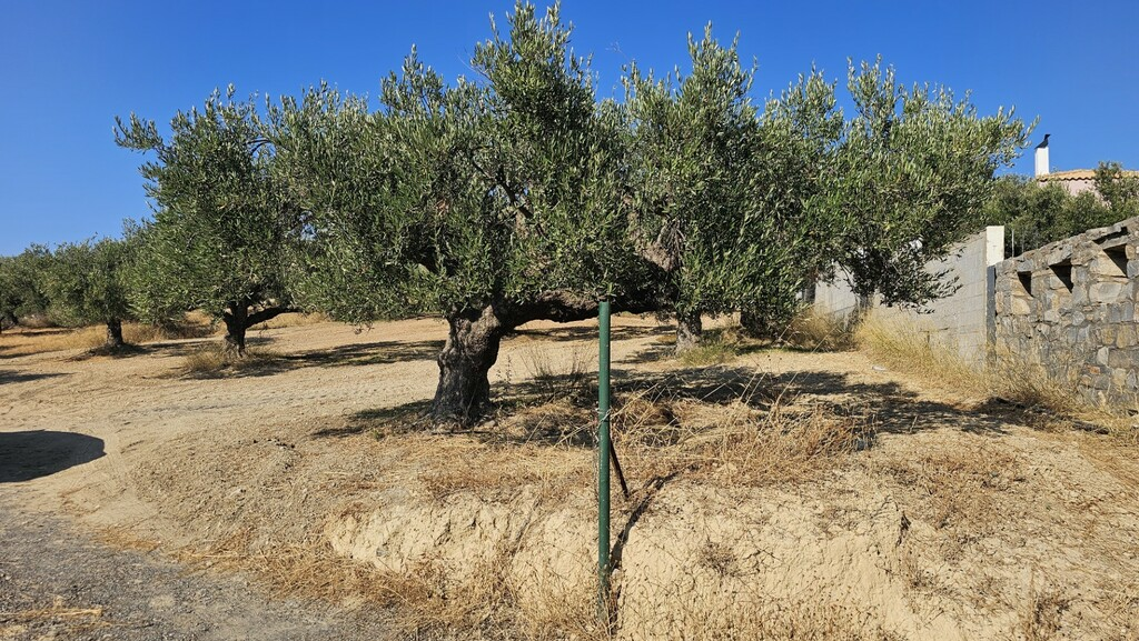 Land In Gouves, Greece