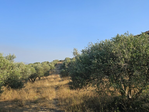 Land In Arkalochori, Greece