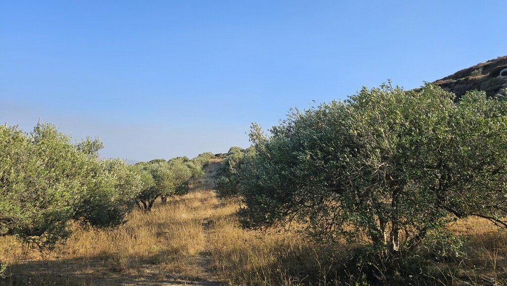 Land In Arkalochori, Greece