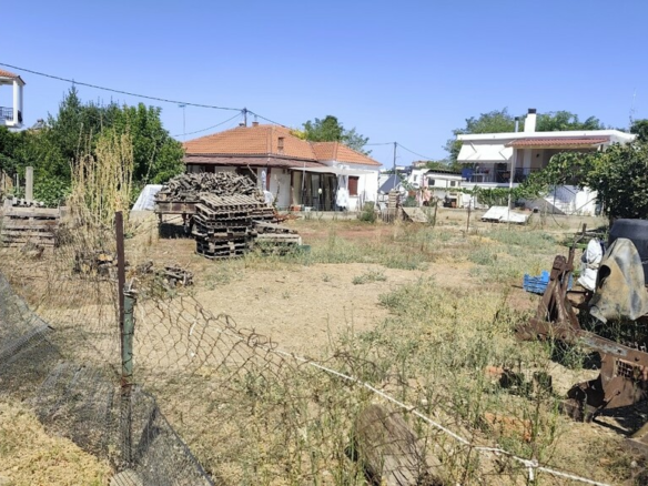 Land In Nea Propontida, Greece