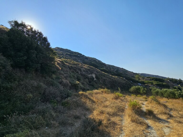 Land In Arkalochori, Greece