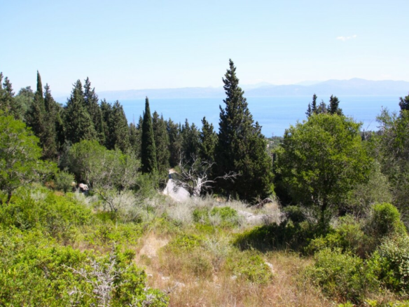 Land In Paxoi, Greece (6.410 M²)