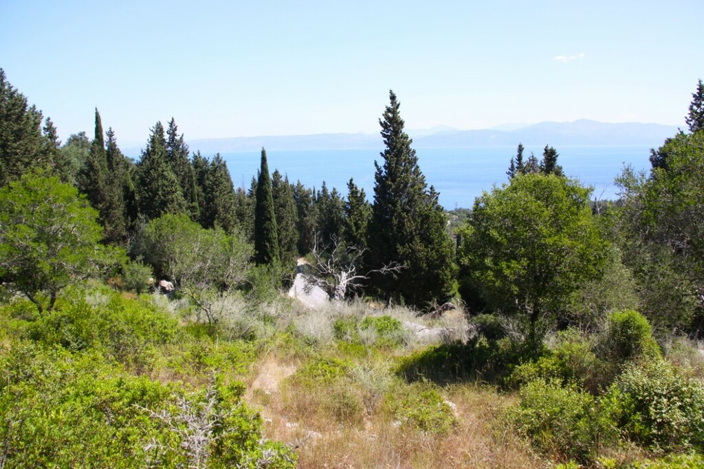 Land In Paxoi, Greece (6.410 M²)