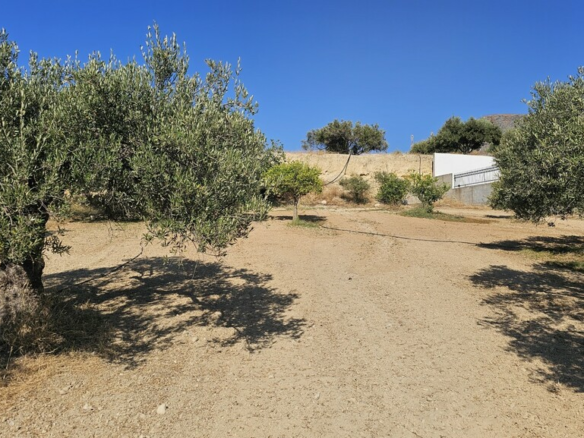 Land In Gouves, Greece