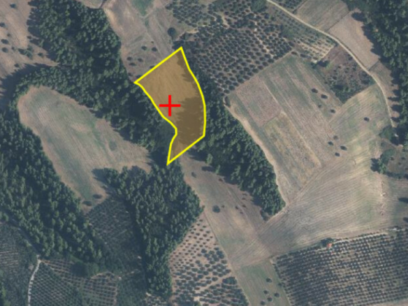 Land In Kassandra, Greece