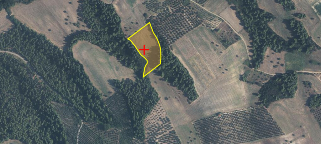 Land In Kassandra, Greece