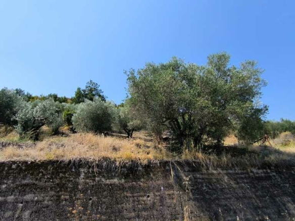 Land In Katerini, Greece