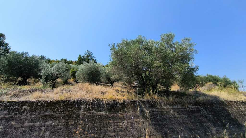 Land In Katerini, Greece