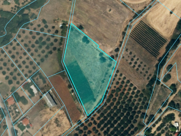 Land In Aristotle, Greece