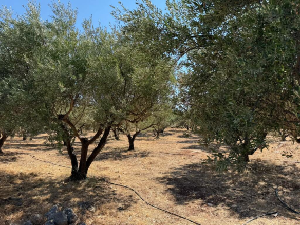 Land In Souda, Greece