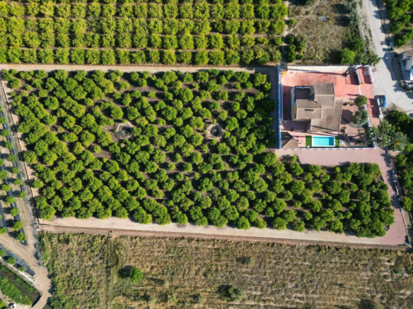 5-bedroom Country House In Orihuela, Spain (495 M²)