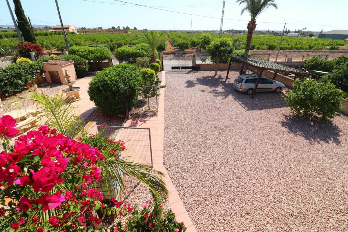 4-bedroom Villa In Albatera, Spain (231 M²)