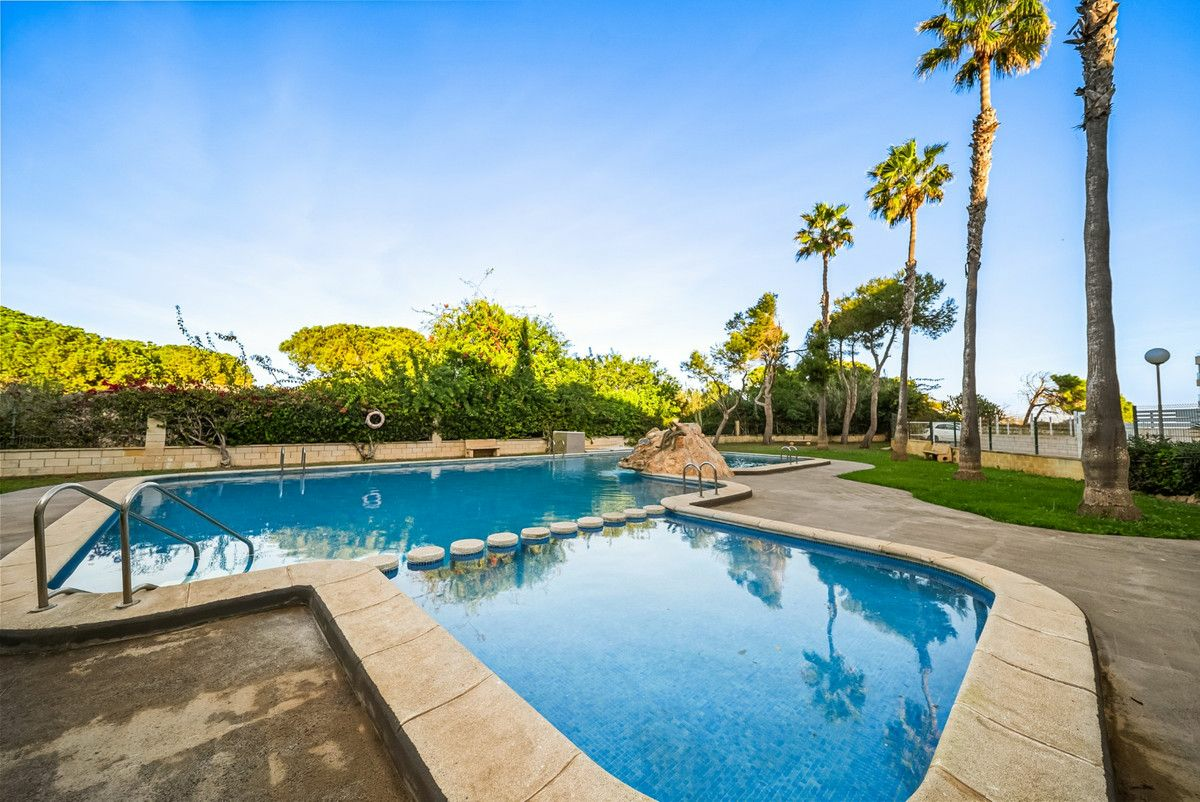 2-bedroom Apartment In Torrevieja, Spain (53 M²)