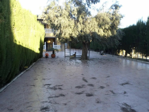 4-bedroom House In Orihuela, Spain (350 M²)