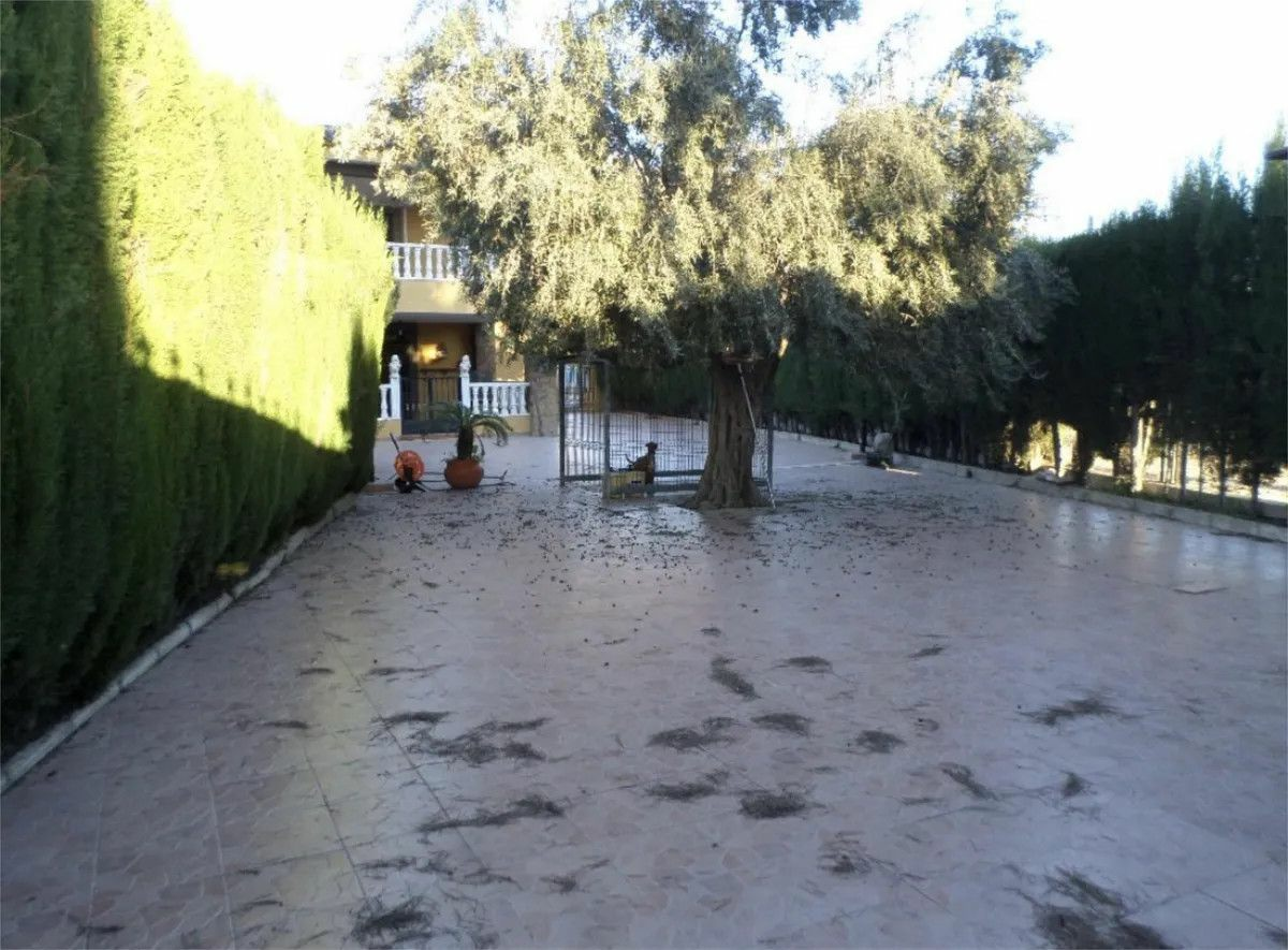 4-bedroom House In Orihuela, Spain (350 M²)