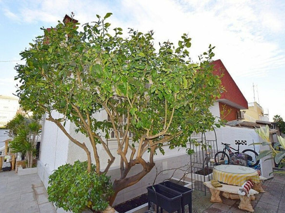 3-bedroom Villa In Torrevieja, Spain (200 M²)