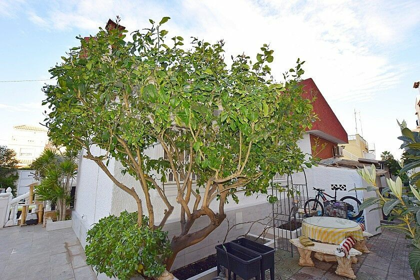 3-bedroom Villa In Torrevieja, Spain (200 M²)