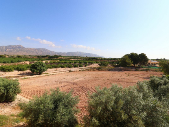 3-bedroom Villa In Albatera, Spain (164 M²)