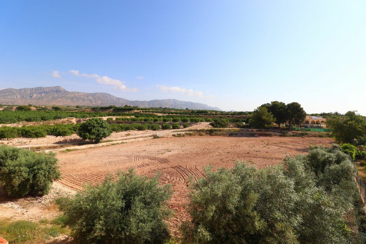 3-bedroom Villa In Albatera, Spain (164 M²)